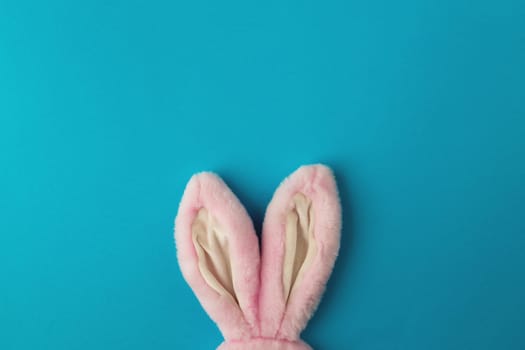 Pink Easter bunny ears on the blue background. High quality photo