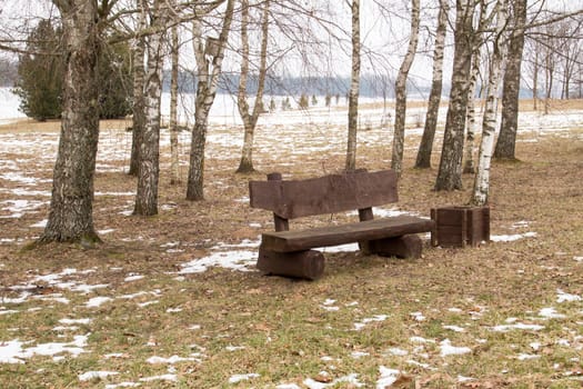 Lonely wooden bench in a park at winter time