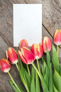 Seven spring tulips and blank card for copy-space