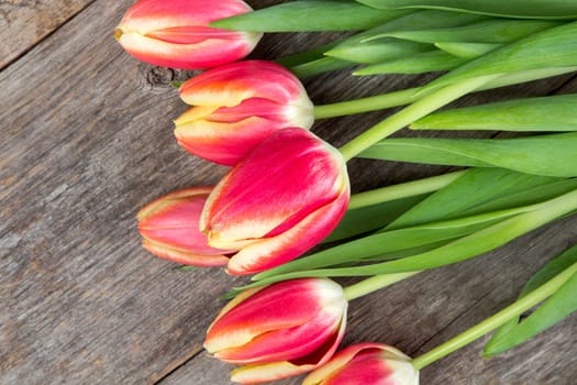Bunch of  spring tulips lying on wooden background