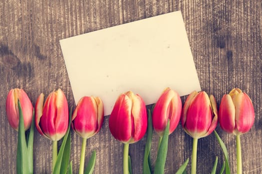 Seven tulips and blank card for copy-space