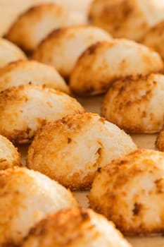 cookies in closeup