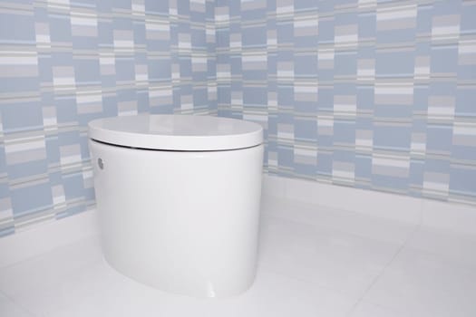 Toilet bowl in the bathroom