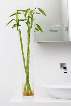 Interiors of a bathroom