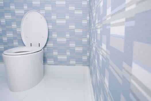 Toilet bowl in the bathroom