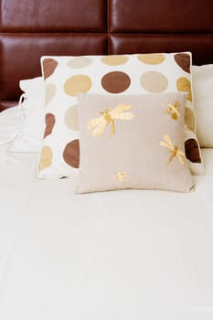 Pillow and cushions on the bed