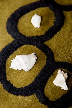 High angle view of seashells on a carpet