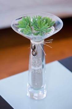 Close-up of a plant in a glass vase