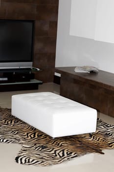 Interiors of a living room