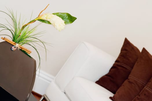 Plant in a vase
