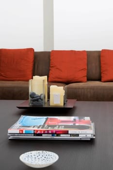Bowl and magazines on a table in front of a couch