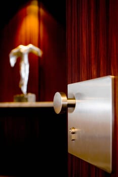 Metal doorknob on a wooden door