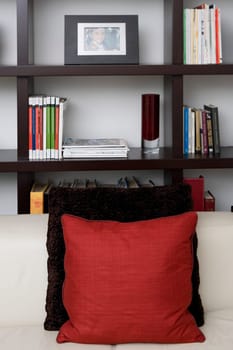 Couch in front of shelves in a living room