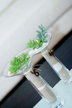 Close-up of plants in vases on a table