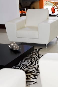Interiors of a living room
