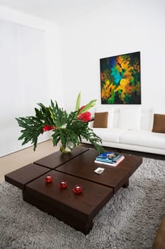 Interiors of a living room