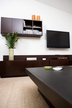Interiors of a living room