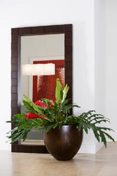Close_up of a houseplant in front of a mirror