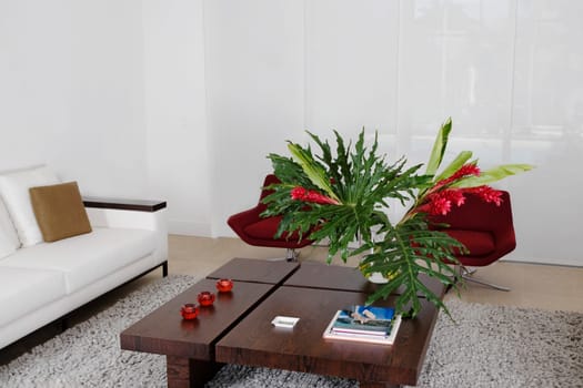 Interiors of a living room