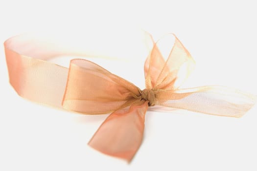 Close-up of a bow