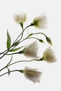 Close_up of flowers