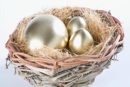 Close_up of golden eggs in a birdŽs nest