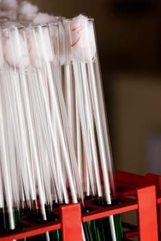 Close-up of test tubes in a test tube rack