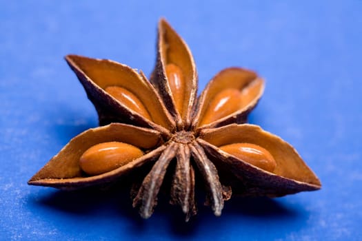 Close-up of a star anise
