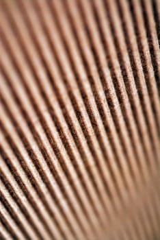 Close-up of a rusty iron sheet