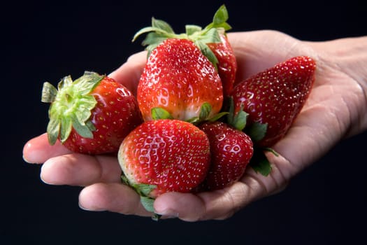 Close-up of strawberries on a personŽs hand