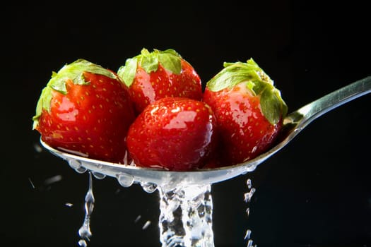 Close-up of four wet strawberries in a spoon