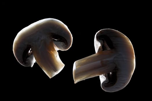 Close-up of two slices of mushroom