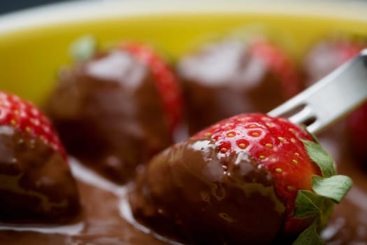 Close-up of a fork with chocolate covered strawberries
