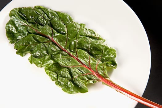Close-up of a leaf in a plate