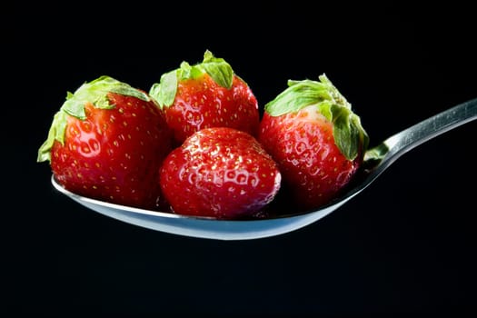 Close-up of four strawberries in a spoon