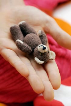 Close-up of a teddy bear on a personŽs hand