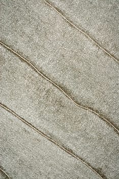 Close-up of a mat