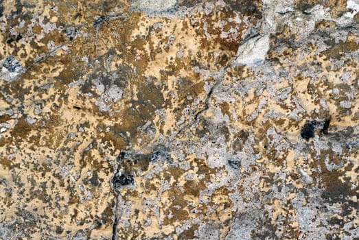Close-up of a cracked plaster
