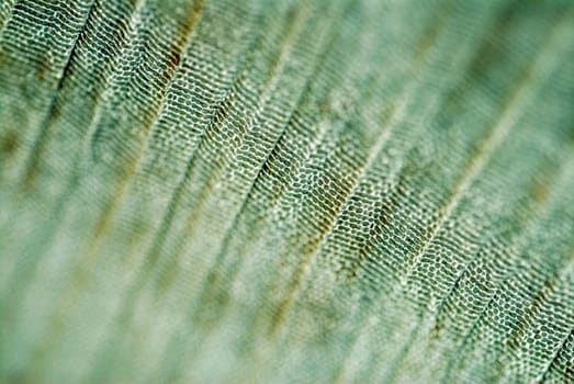 Close-up of a pattern on fabric