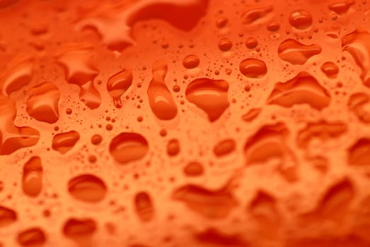 Close-up of water drops on a red surface