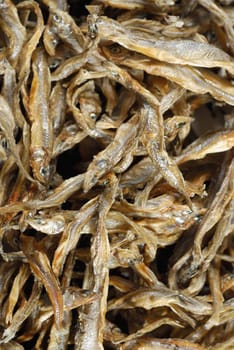 Close-up of dried fish