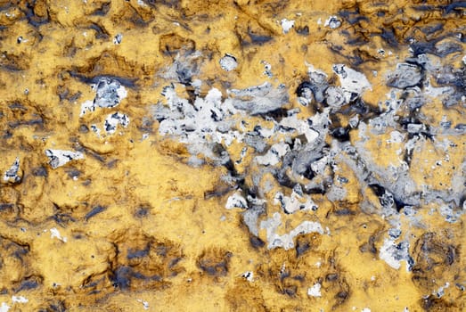 Close-up of ash on a muddy surface