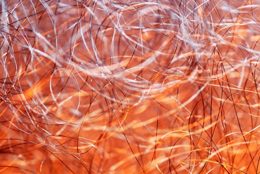 Close-up of meshed wires