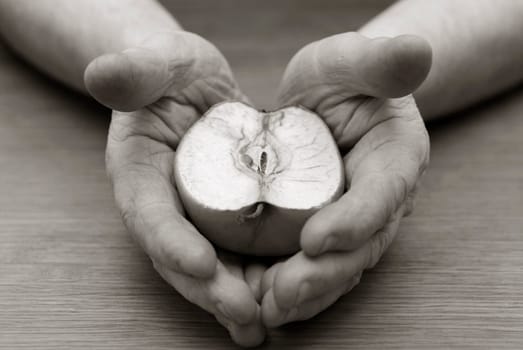 Close-up of a personŽs hands holding a cross section of an apple