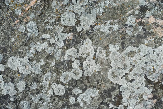 Close-up of a rough wall