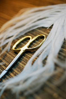 Close-up of a pair of scissors and an ostrich feather