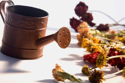 Close-up of a watering can with flowers