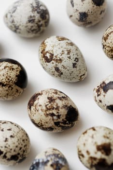 Close-up of quailŽs eggs