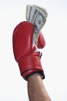 Male boxerŽs hand holding US dollar bills