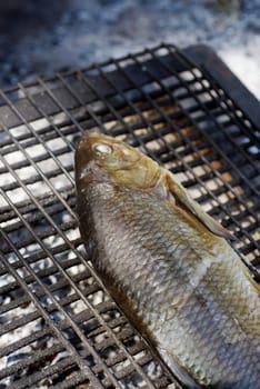 Close-up of a fish on a grille